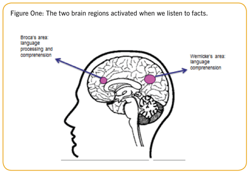 neuro-1.png